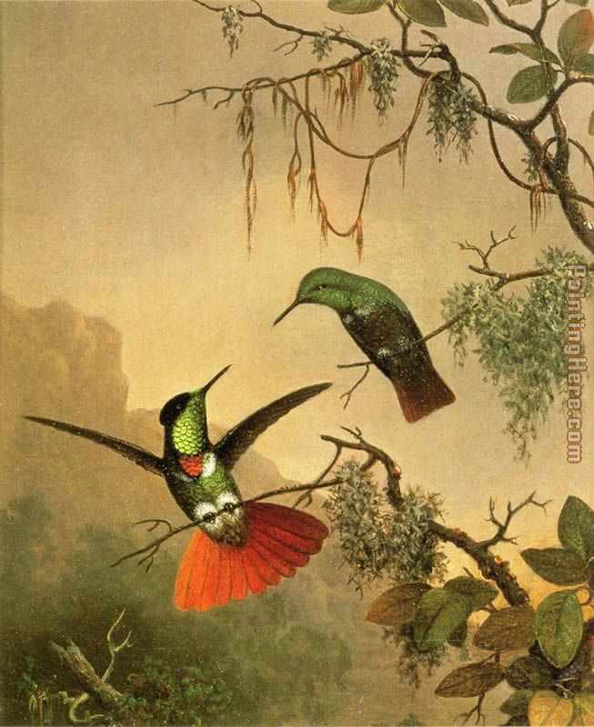 Two Hooded Visorbearer Hummingbirds painting - Martin Johnson Heade Two Hooded Visorbearer Hummingbirds art painting